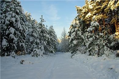 《GTA：SA》任务编辑器MOD更新1.6版 加入演员步态