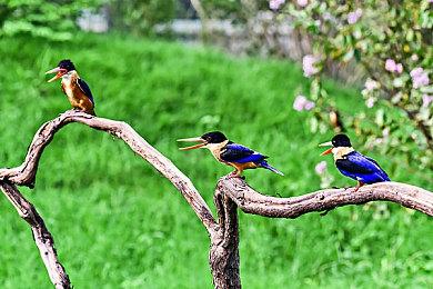 玩家认为《对马岛之鬼2》将在今年公布